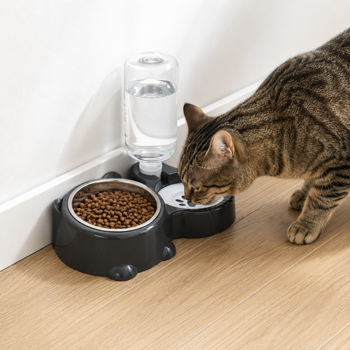 Gravity Water Dispenser and Pet Food Dish