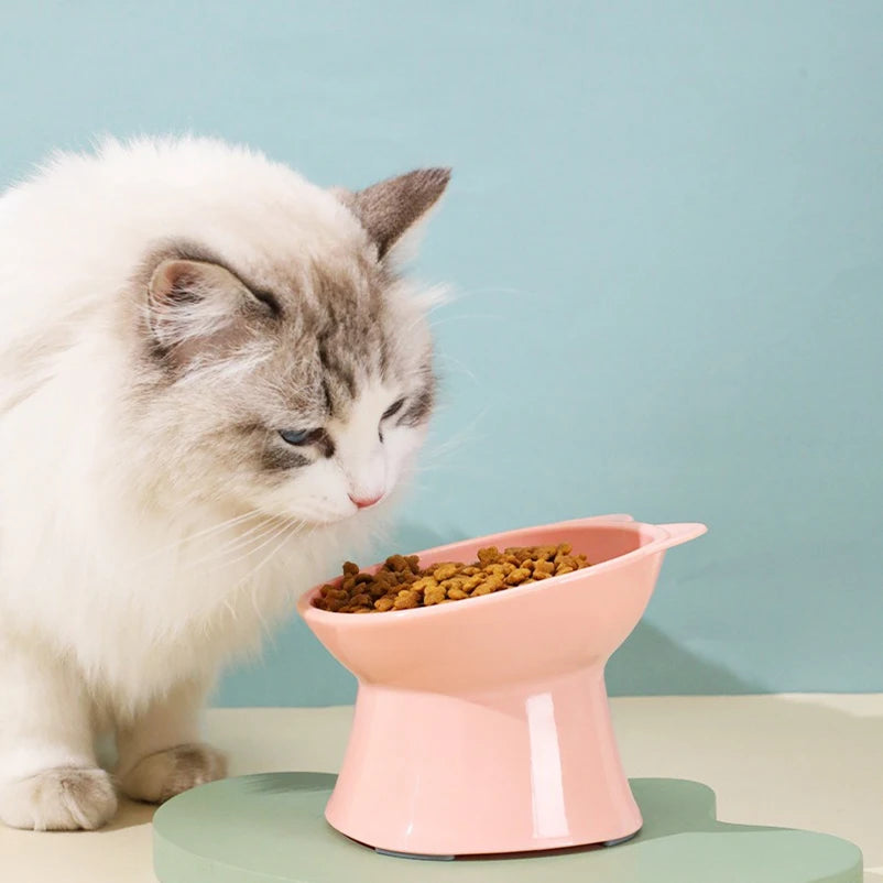 Anti-Tip Raised Cat Bowl