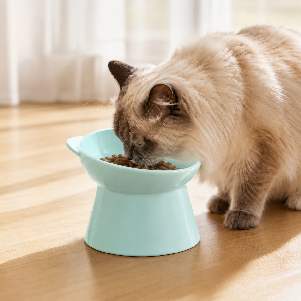 Anti-Tip Raised Cat Bowl